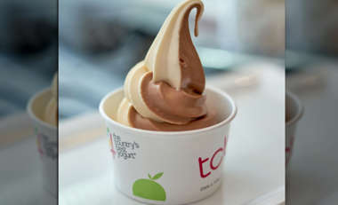 Could the Ice Cream Chain Have Avoided Bankruptcy?