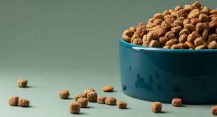 Harringtons Dog Food for Puppies